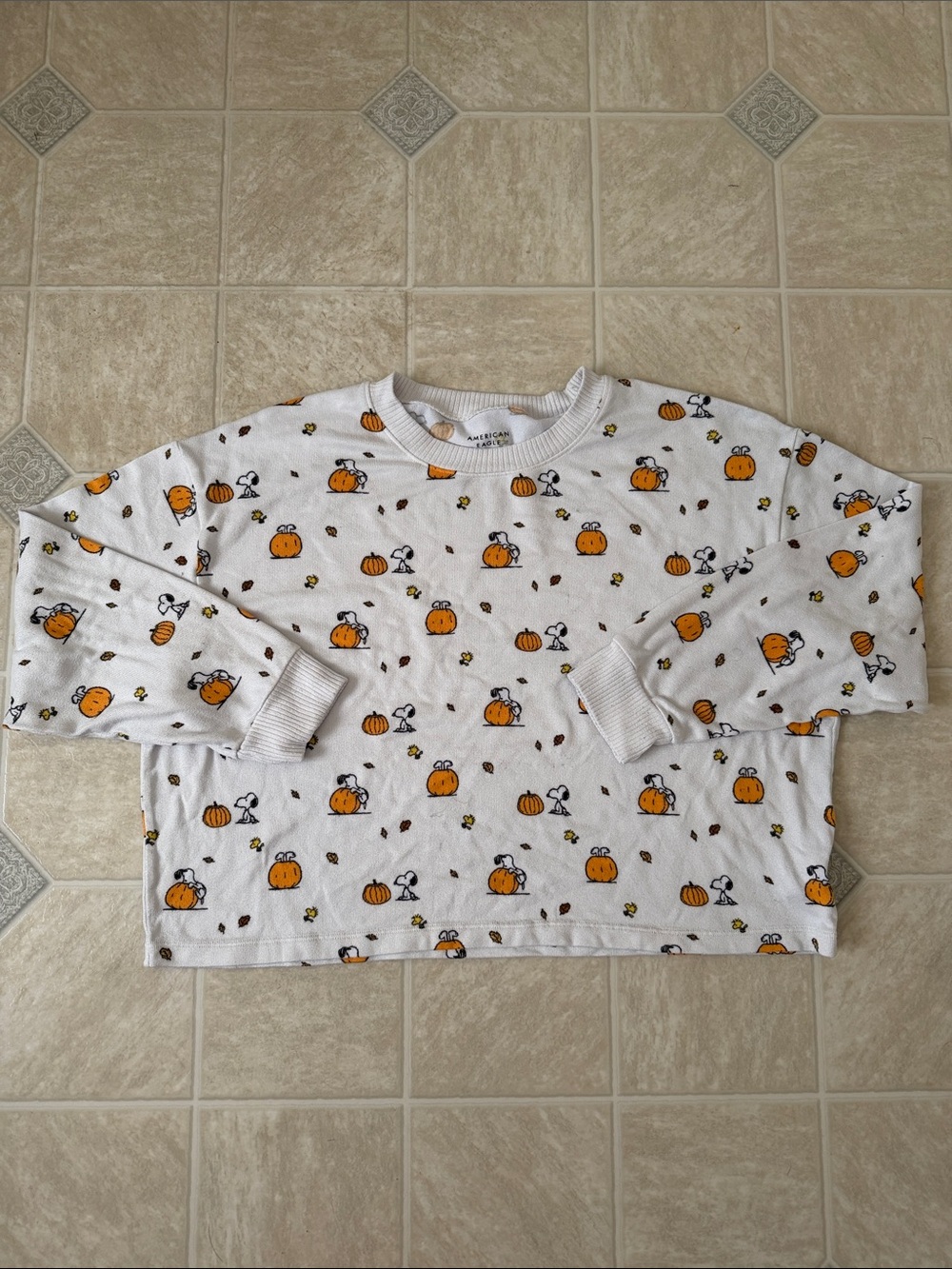 American Eagle Autumn Snoopy Lounge Top